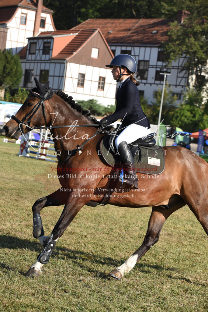 DSC_5112 | Pferde- und Turnierfotografie in Westsachsen. Pferdeportraits, Auftragszeichnungen und intuitive Kunst.