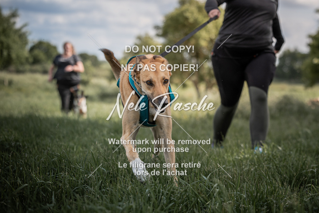 nelerasche_Do-spät_131 | nelerasche
