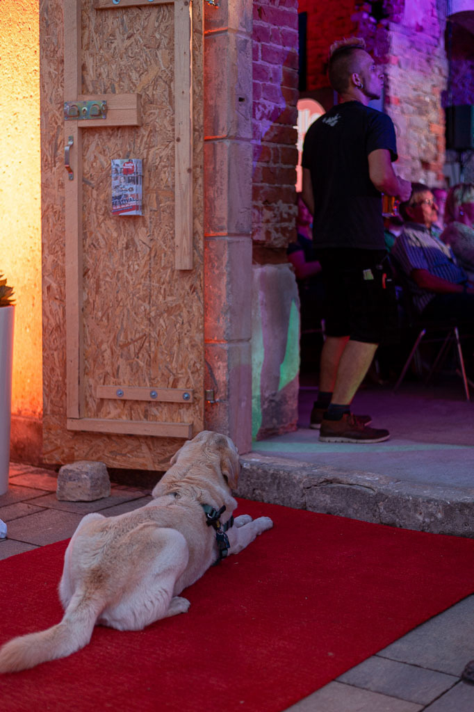 Habana Tradicional | Habana Tradicional im Forte Belvedere Leisnig zum Festival Hallo Leisnig 2022. - Realisiert mit Pictrs.com