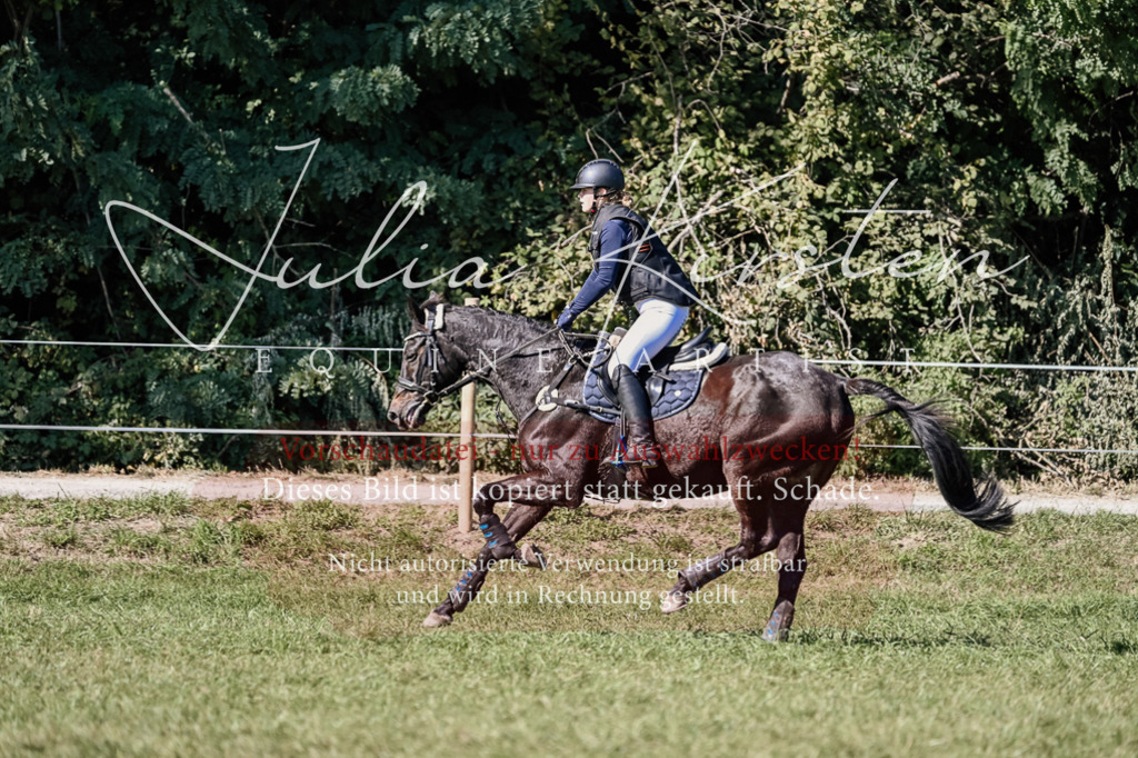 DSC_3258 | Pferde- und Turnierfotografie in Westsachsen. Pferdeportraits, Auftragszeichnungen und intuitive Kunst.