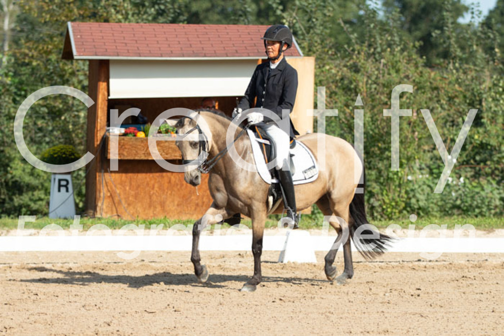 IMG_0484 | Creatify Fotografie