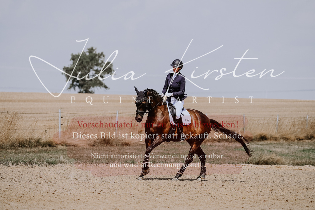 DSC_2689 | Pferde- und Turnierfotografie in Westsachsen. Pferdeportraits, Auftragszeichnungen und intuitive Kunst.