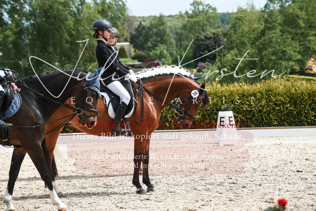 20230518_JK-Röhrsdorf-11-0264 | Pferde- und Turnierfotografie in Westsachsen. Pferdeportraits, Auftragszeichnungen und intuitive Kunst.