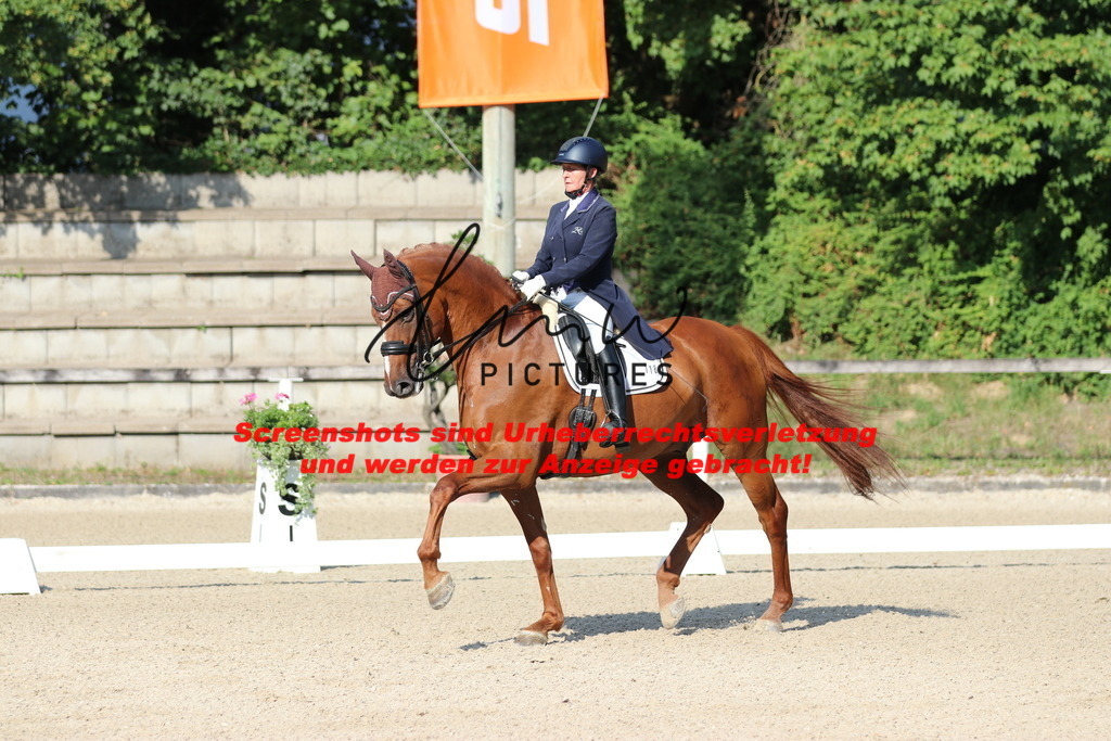 IMG_8922 | lmwpictures - Realisiert mit Pictrs.com