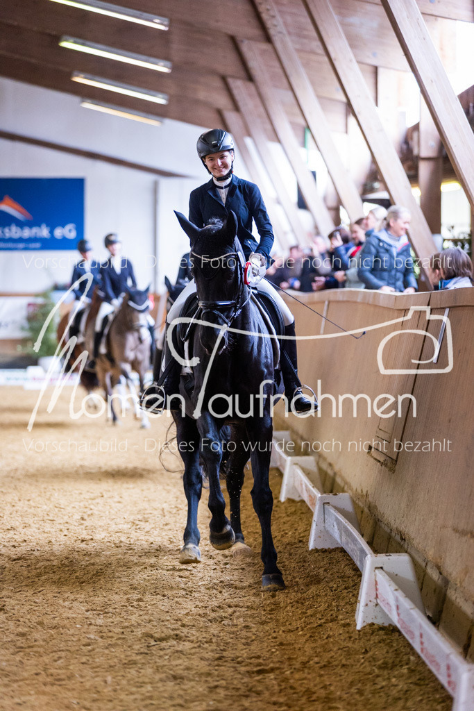 Sth-A-Dre-2St-251 | MomenTaufnahmen Pferdesportfotos