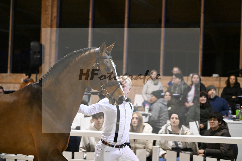 Sanvaro_14261516 | hf-fotografie - Realisiert mit Pictrs.com