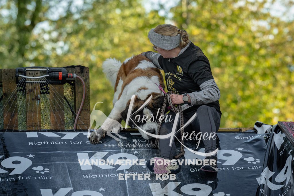 1600_ZZ91790 | kk-dogfotos