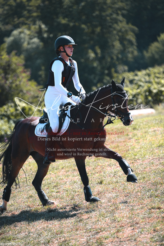 DSC_8291 | Pferde- und Turnierfotografie in Westsachsen. Pferdeportraits, Auftragszeichnungen und intuitive Kunst.