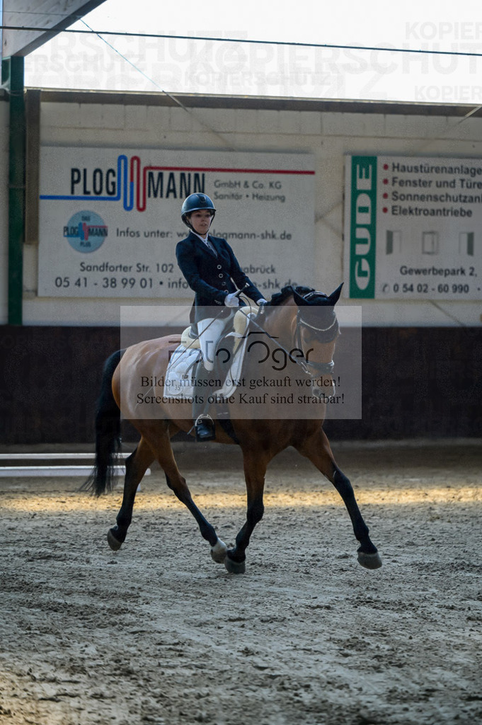 Reitturnier Voxtrup | Entdecke hochwertige Reitturnierfotos von Foto Oger. Professionell, emotional und authentisch – jetzt Lieblingsmomente im Shop bestellen.Deutschlandweite Turnierfotografie. - Realisiert mit Pictrs.com