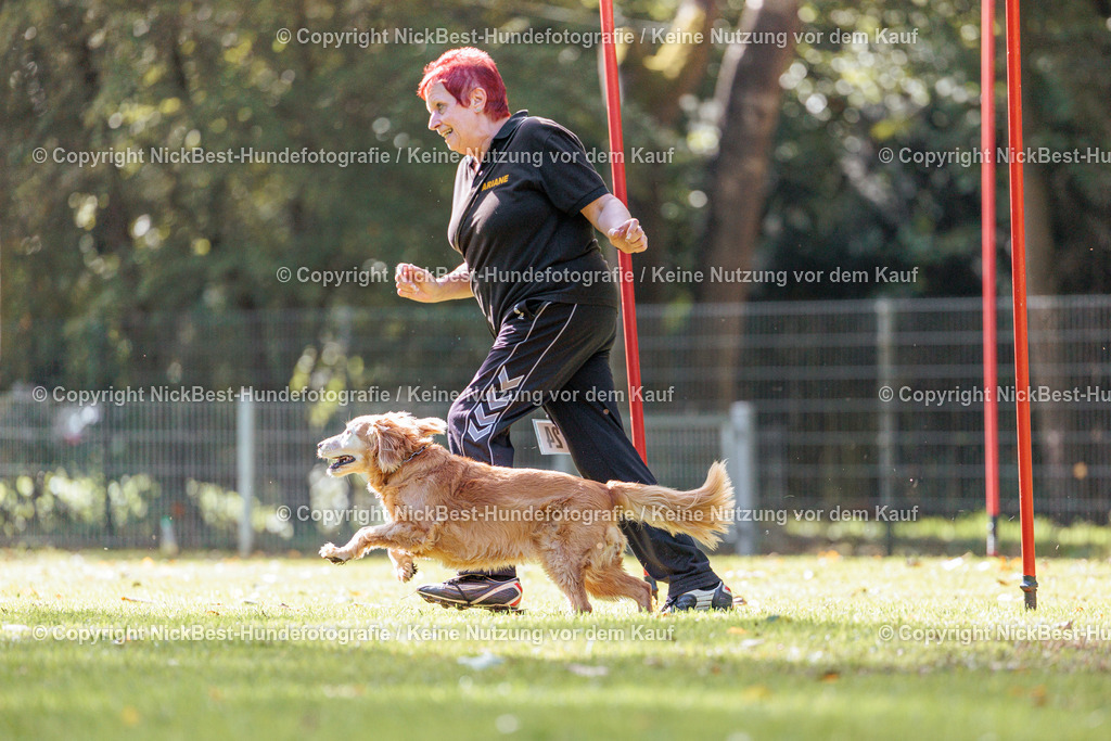 THS-HSV-Blumenthal-2026-Nickbest-Hundefotografie-3082 | Dein Hund! Dein Moment! Deine Erinnerungen! Hundefotografie in Bremen Blumenthal. Ich fange die besonderen Momente deines Vierbeiners ein – ob Indoor mit Blitzanlage oder in der freien Natur. Sicher dir dein Moment und dein Termin für eure Erinnerungen.