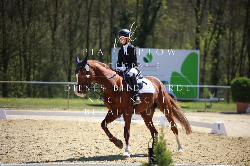 IMGT1282 | pl-fotografie