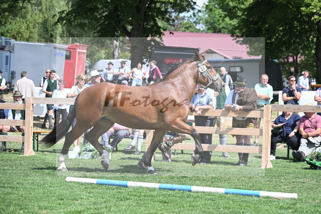Kat-Nr. 27 Gerda_Funk_20230426 | hf-fotografie - Realisiert mit Pictrs.com