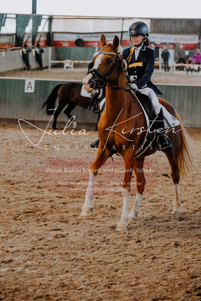 DSC_7743 | Pferde- und Turnierfotografie in Westsachsen. Pferdeportraits, Auftragszeichnungen und intuitive Kunst.