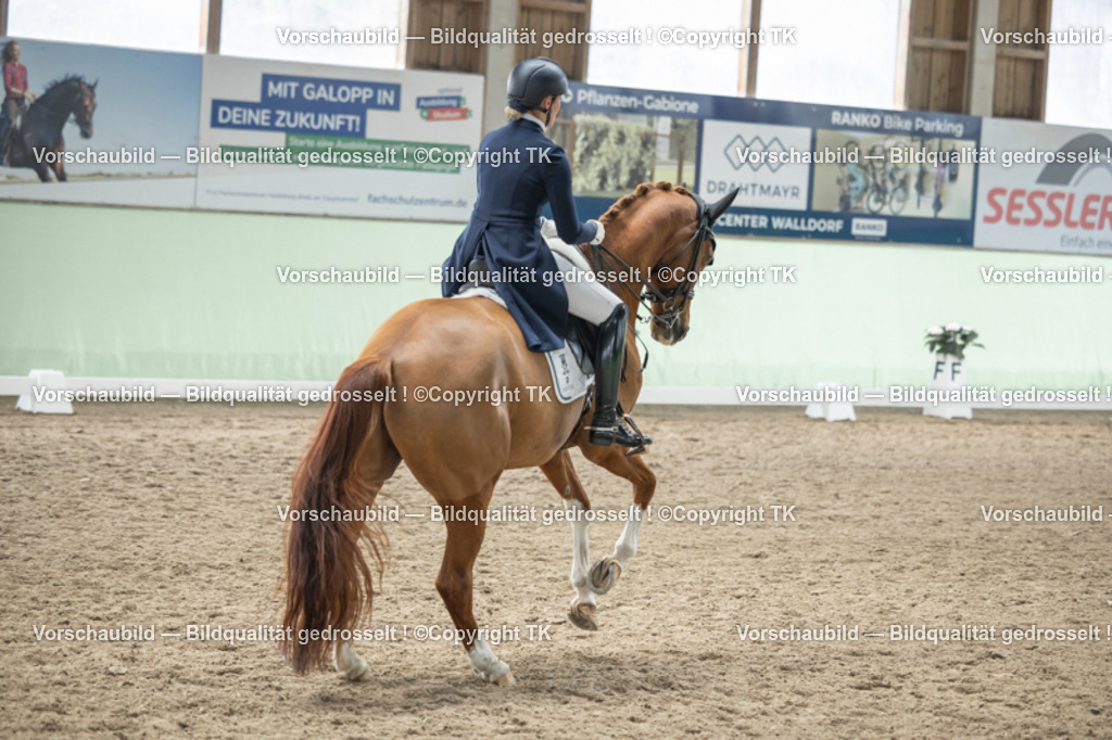 _D5A5297 | Emotionale Pferde- & People-Fotografie rund um Heidelberg, Leimen & Umgebung. Natürliche Fotos von Pferd, Mensch & Familie. Jetzt Termin sichern!