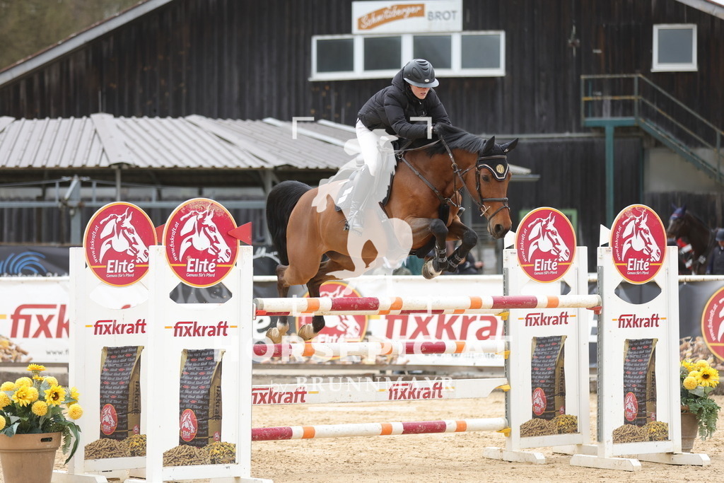 0P6A3870 | Willkommen bei Brunnmayr - Design & Fotografie – Ihrem Spezialisten für Reitturniere und Pferdeveranstaltungen in Oberösterreich, Salzburg und Bayern! Seit über 17 Jahren sind wir leidenschaftlich dabei.