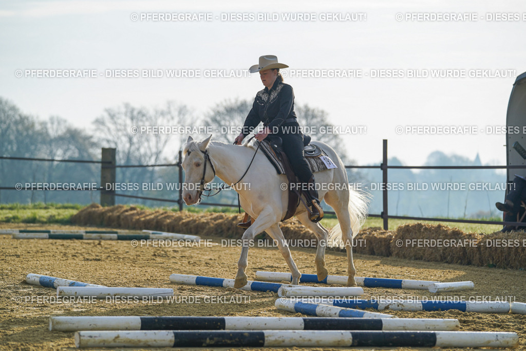 DSC00052 | Pferdegrafie