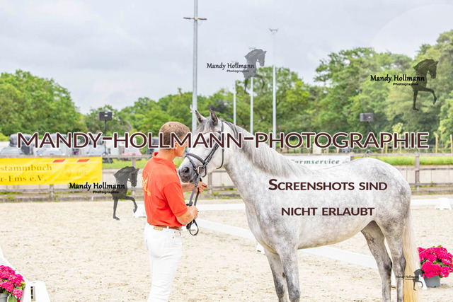 20 (5 von 41) | mandyhollmannphotographie
