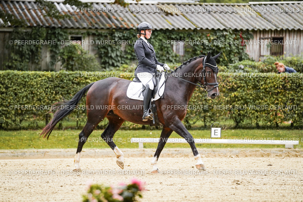 DSC06734 | Pferdegrafie