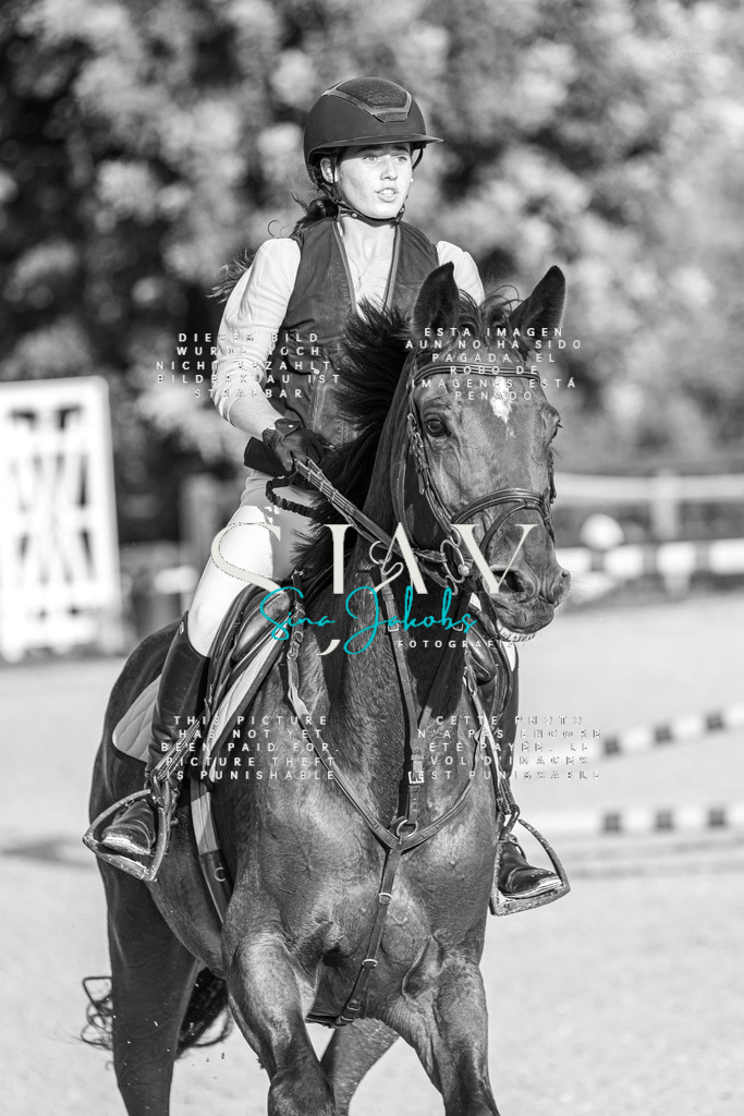 IMG_4943 | s-jay-photography - Realisiert mit Pictrs.com