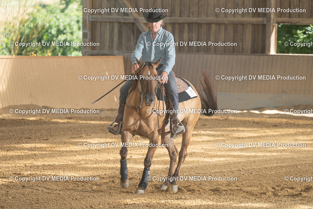 DSC00303 | dv-media-shop - Realisiert mit Pictrs.com