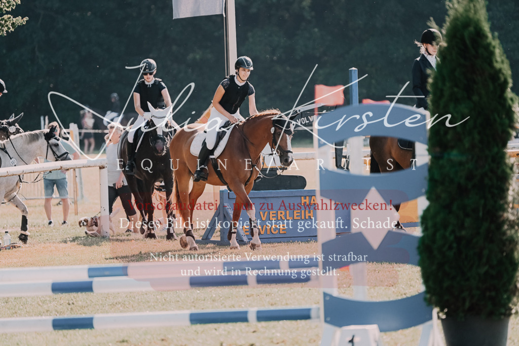 DSC_4885 | Pferde- und Turnierfotografie in Westsachsen. Pferdeportraits, Auftragszeichnungen und intuitive Kunst.