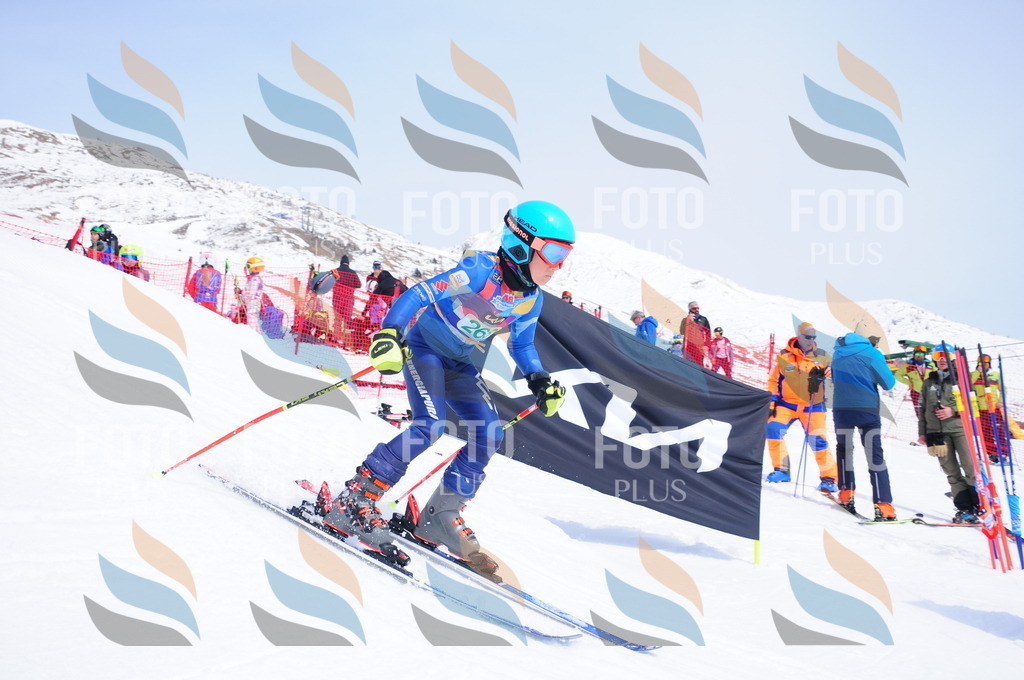 DSC_2558 | holidayphoto