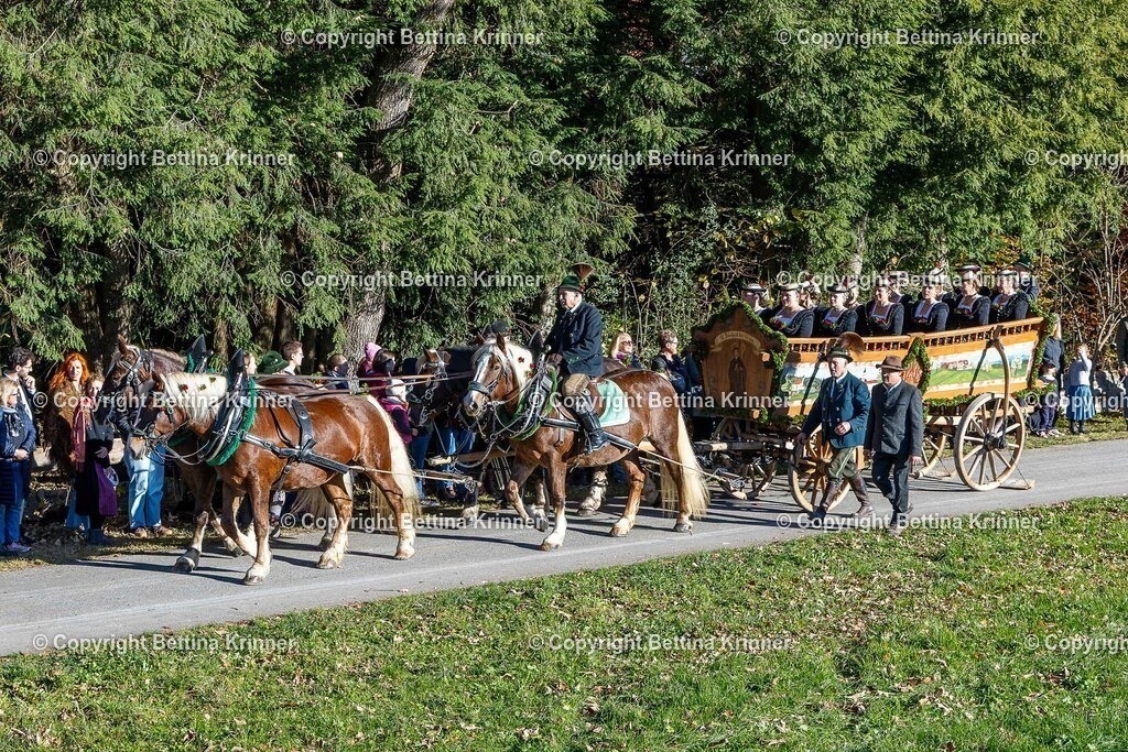 LBT25-95 | foto-bettina-krinner - Realisiert mit Pictrs.com