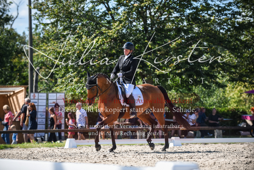DSC_9654 | Pferde- und Turnierfotografie in Westsachsen. Pferdeportraits, Auftragszeichnungen und intuitive Kunst.