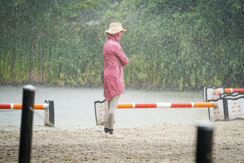 DSC08349 | Pferdegrafie