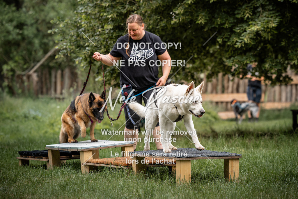 nelerasche_So-funtrail_175 | nelerasche