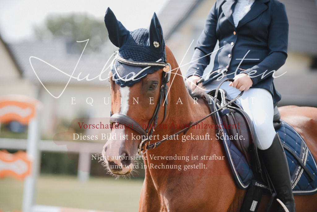 DSC_5466 | Pferde- und Turnierfotografie in Westsachsen. Pferdeportraits, Auftragszeichnungen und intuitive Kunst.