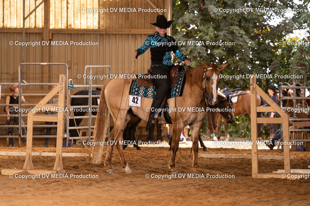 NID00577 | dv-media-shop - Realisiert mit Pictrs.com