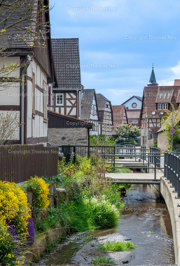 Dorfidylle-Gronau-Fruehling-meerbach-Bensheim-Fotografie-Thomas-Neu-28 | Malerisch schlängelt sich der Meerbach durch den Bensheimer Stadtteil Gronau, Fachwerkhäuser und die evangelische Kirche sind auf dem Bild zu sehen, ,Bild: THomas Neu
