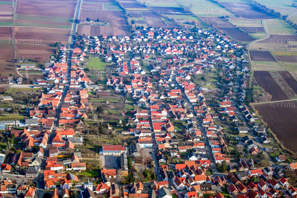 Luftbild: Ortschaft von Westen in Minfeld im Bundesland Rheinland-Pfalz in Deutschland. Foto: IMG_0582.jpg vom 08.01.2006 durch Werner Riehm/FLY-FOTO.de