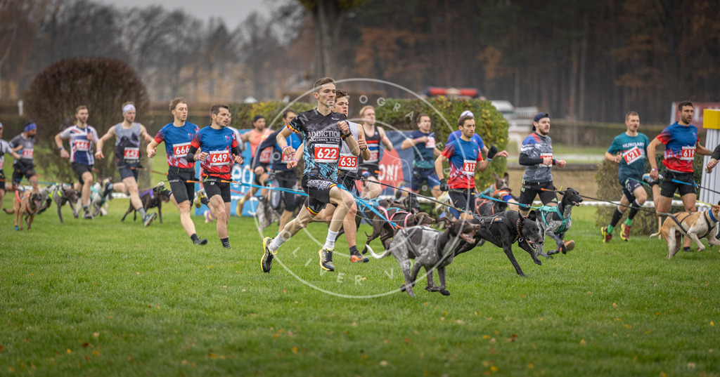 CaniXpix_DV3A9460 | Hundefotografie, Tierfotograf, Pfotenfotografie, Fotoshooting Hund, Hunde Portrait, Hundesport, Hundeportraits, Heideshooting, Hunde, Sportfotograf, Hundefotograf, Turnierhundsport, THS,  - Realisiert mit Pictrs.com