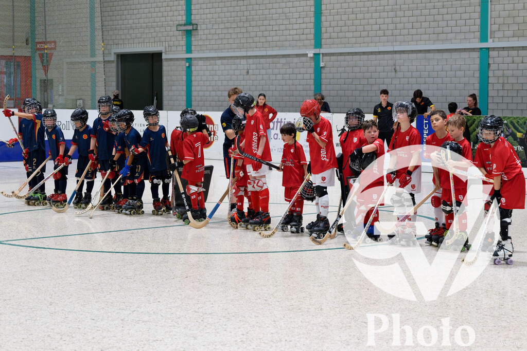 DZ9_3853 | Velletri Photo