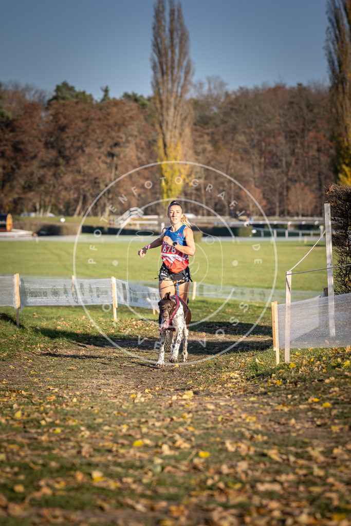 CaniXpix_DV3A1009 | Hundefotografie, Tierfotograf, Pfotenfotografie, Fotoshooting Hund, Hunde Portrait, Hundesport, Hundeportraits, Heideshooting, Hunde, Sportfotograf, Hundefotograf, Turnierhundsport, THS,  - Realisiert mit Pictrs.com