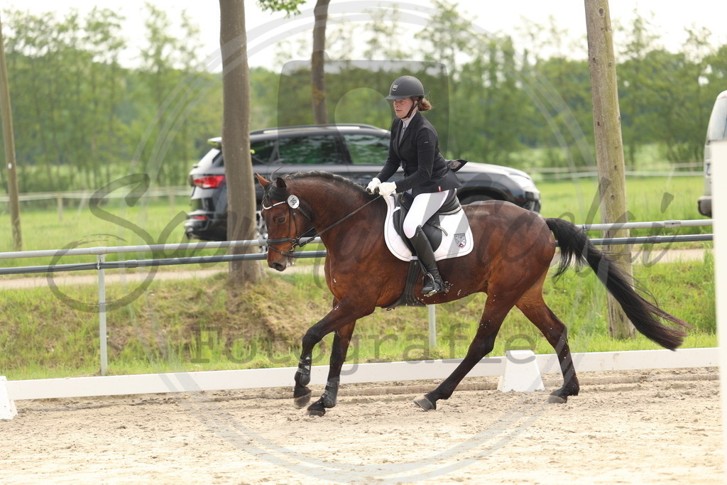 994A7577 | sabrinanicolaifotografie - Realisiert mit Pictrs.com