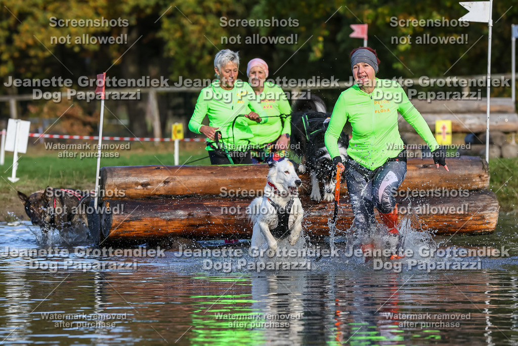 Dog Paparazzi - Strongdog 10-25-8499 | Dog Paparazzi Jeanette Grottendiek Fotografie & Videografie - Realisiert mit Pictrs.com