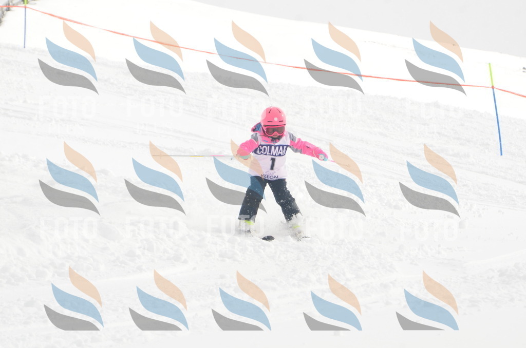 A4987 | holidayphoto