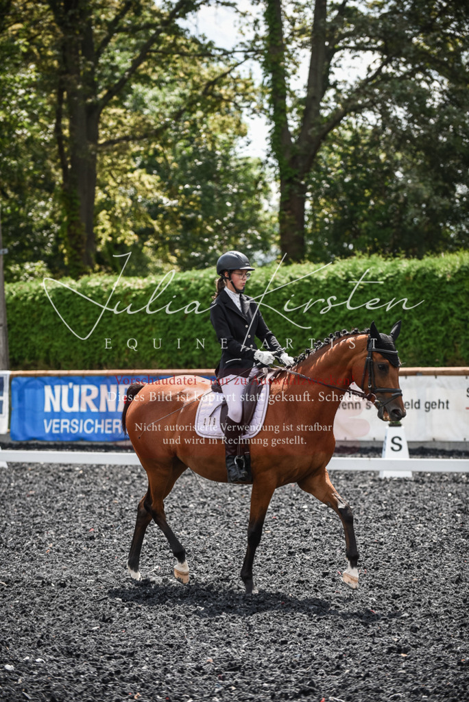 DSC_4355 | Pferde- und Turnierfotografie in Westsachsen. Pferdeportraits, Auftragszeichnungen und intuitive Kunst.