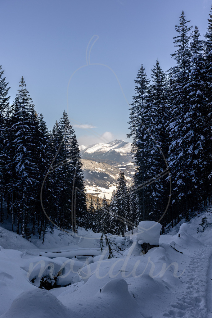 Leißnitzgraben im Winterkleid | Bei Veröffentlichung des Bildes ist eine Namensnennung wie folgt erforderlich: 
Foto: Mostdirn Irmgard Wieser
 - Realisiert mit Pictrs.com