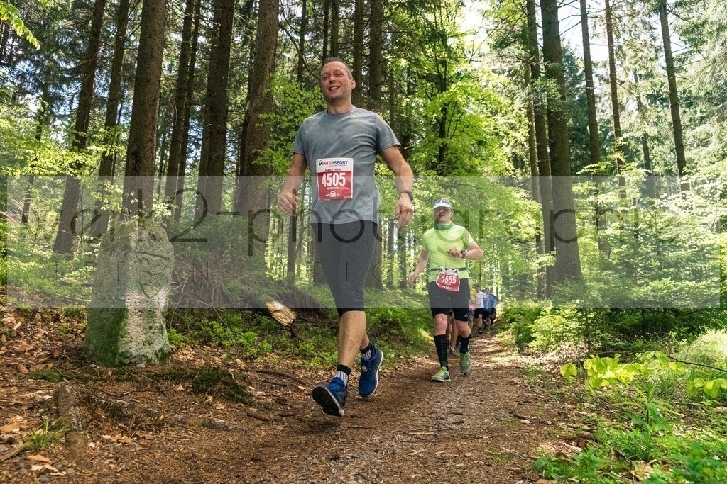Rennsteiglauf 2019 | Marathon Neuhaus/Rwg. - Schmiedefeld am 18. Mai 2019