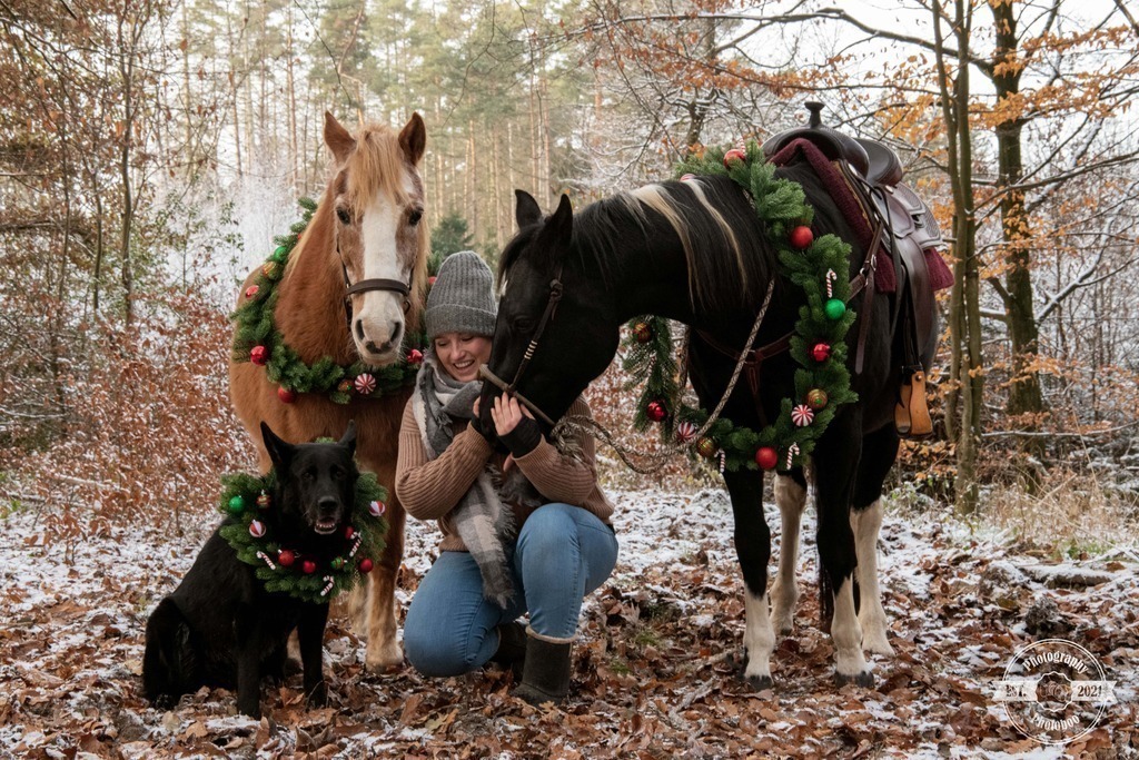 Lieblingsbilder_Photoboo_39 | Pferde- und Hundefotografie in Köln und Umgebung von Vanessza Csuka - Realisiert mit Pictrs.com