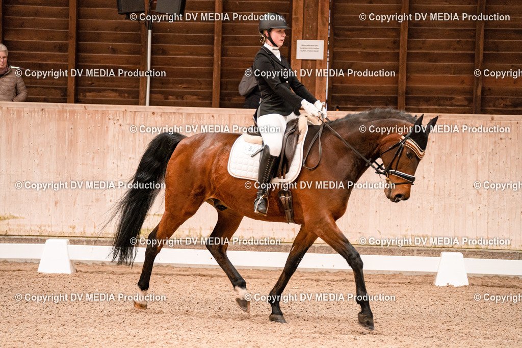Dressur Tag 2-68 | dv-media-shop - Realisiert mit Pictrs.com