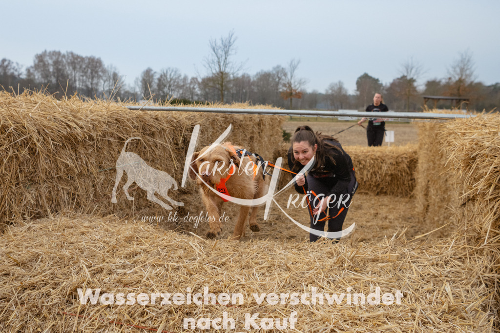 0821_ZZ92596 | kk-dogfotos