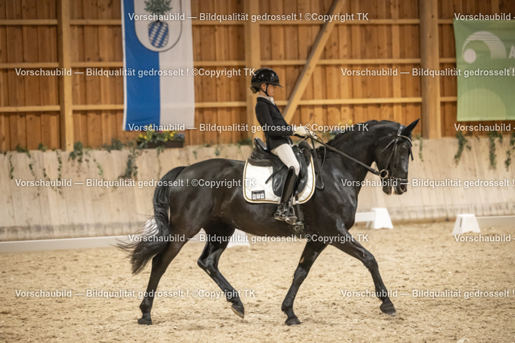 _D5A0705 | Emotionale Pferde- & People-Fotografie rund um Heidelberg, Leimen & Umgebung. Natürliche Fotos von Pferd, Mensch & Familie. Jetzt Termin sichern!