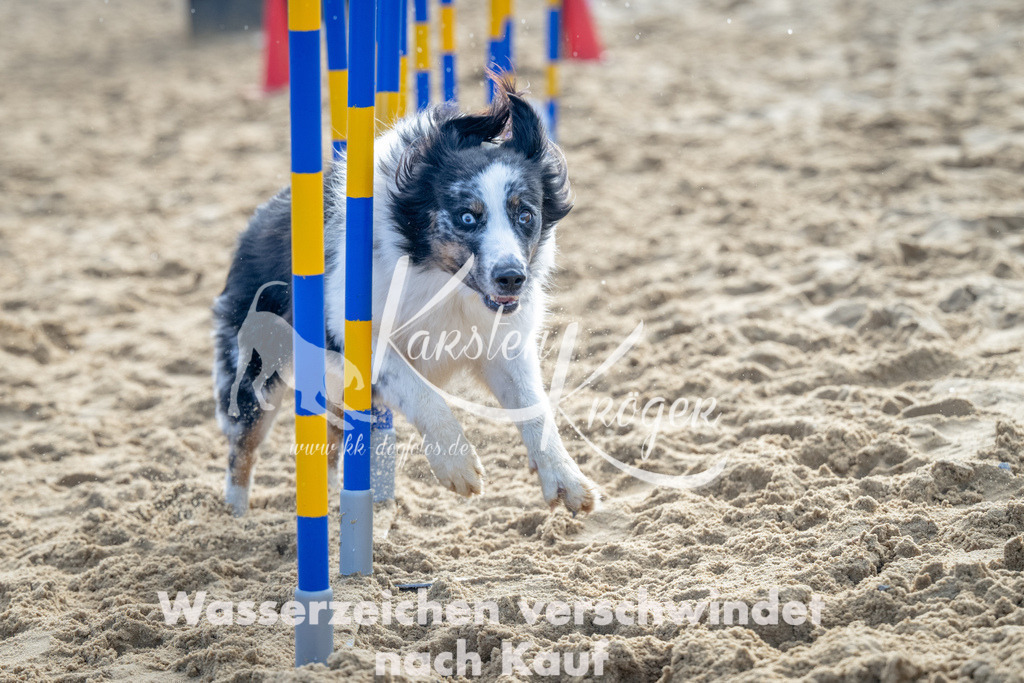 0958_ZZ93220 | kk-dogfotos