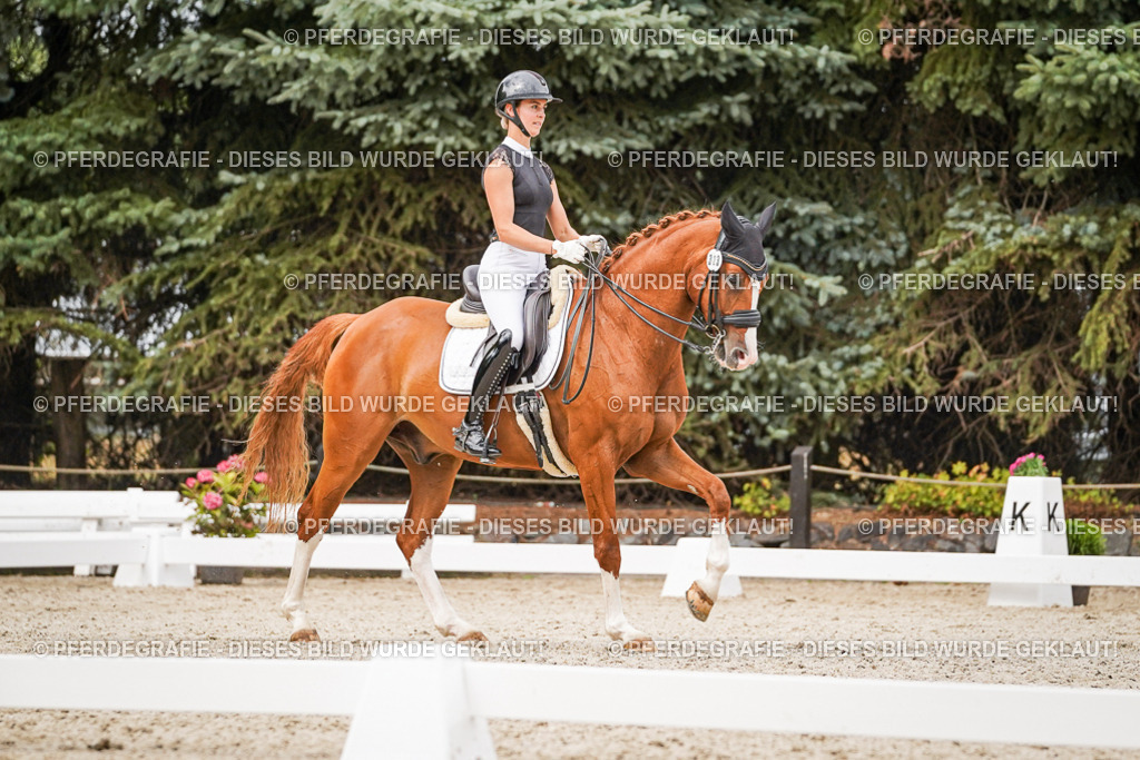 DSC07888 | Pferdegrafie