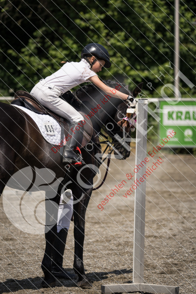 IMG_3551 | Sport-, Event- und Tierfotos in Profiqualität. Einfach auswählen, bestellen und herunterladen. Dein Moment – perfekt festgehalten.